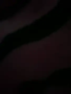 GAY 12 online show from February 3, 2026, 4:10 am