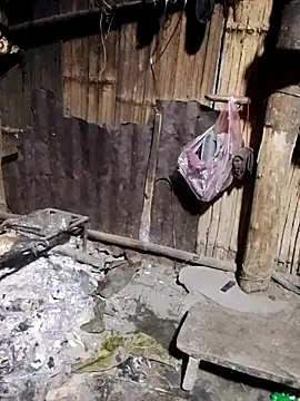 doggy-00 online show from December 2, 2025, 12:18 pm