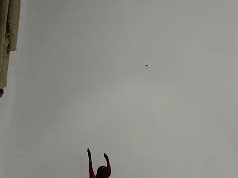 EmmilyConnor online show from February 25, 2026, 1:44 pm