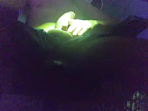 Snapshot of analice32456 chatting on March 3, 2026, 6:53 am analice32456 online show from March 3, 2026, 6:53 am