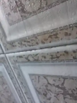 3zekie1 online show from October 28, 2025, 2:16 pm