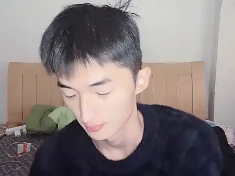 N228 online show from November 12, 2025, 8:07 am