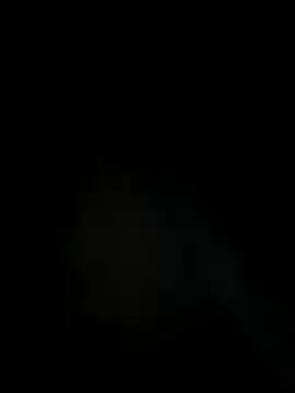 Kit-Kaat online show from November 3, 2025, 12:20 pm