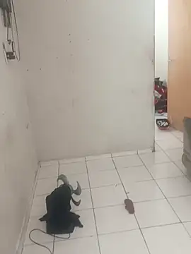 Snapshot of _-_-_sthefany chatting on October 30, 2025, 3:09 pm  - - sthefany online show from October 30, 2025, 3:09 pm