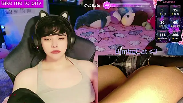 BimboCat online show from February 3, 2026, 1:16 am