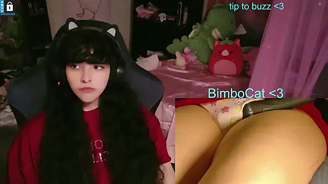 BimboCat online show from June 11, 2026, 8:28 pm