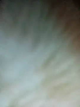 Nul-chal online show from February 26, 2026, 6:19 pm