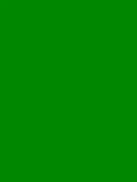 gatitaamelosaa7 online show from April 10, 2026, 12:56 pm