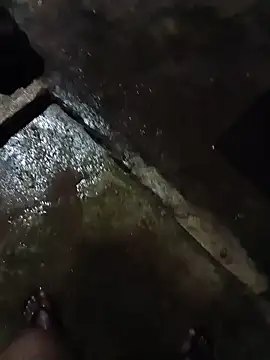 DK 9396 online show from January 9, 2026, 7:10 pm