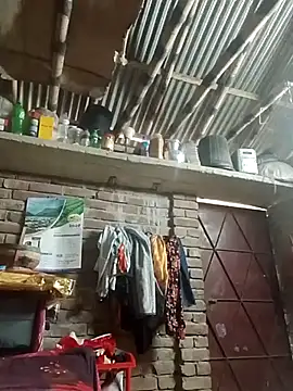 Snapshot of Lema-00 chatting on November 9, 2025, 4:05 am Lema-00 online show from November 9, 2025, 4:05 am