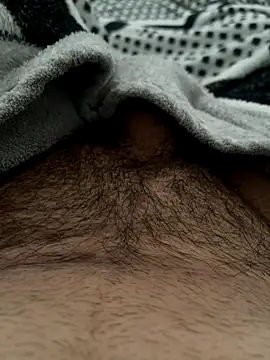 n0tf0und online show from November 14, 2025, 4:43 pm