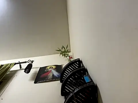 Snapshot of jishnu878 chatting on November 24, 2025, 3:45 pm jishnu878 online show from November 24, 2025, 3:45 pm