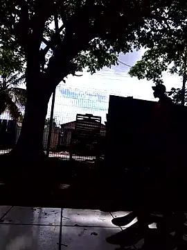 moreninho564 online show from November 25, 2025, 4:40 pm