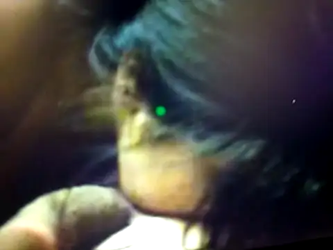 BdTinyDick online show from March 19, 2026, 7:58 pm