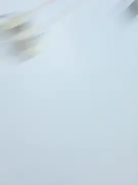 Snapshot of sexylove19 chatting on February 27, 2026, 1:55 pm sexylove19 online show from February 27, 2026, 1:55 pm