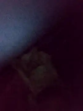 Drian1010 online show from November 4, 2025, 5:44 am