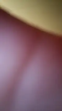 Ira 95 online show from November 8, 2025, 9:51 pm