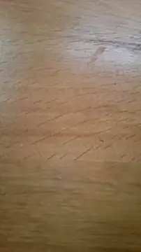 Snapshot of CEEKAYPRO chatting on February 25, 2026, 10:15 am CEEKAYPRO online show from February 25, 2026, 10:15 am