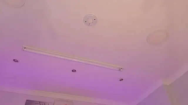 Taylor walton online show from February 27, 2026, 12:16 pm