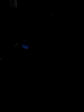 Snapshot of Darkkknet chatting on November 9, 2025, 10:36 pm Darkkknet online show from November 9, 2025, 10:36 pm