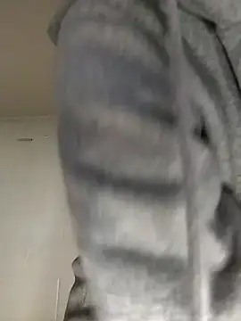 Snapshot of SITHANDRAH chatting on January 15, 2026, 1:47 pm SITHANDRAH online show from January 15, 2026, 1:47 pm