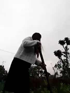 Qoine392 online show from December 20, 2025, 1:41 am