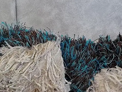 LannyShell online show from November 26, 2025, 5:24 pm