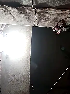 ZANUUA online show from November 20, 2025, 7:58 pm