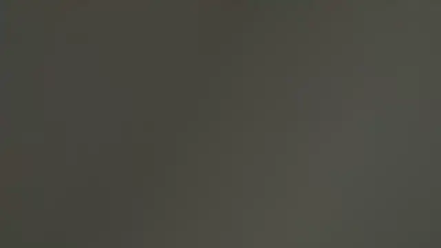 Angelinaa19 online show from February 17, 2026, 3:53 pm