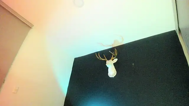 Snapshot of Zeus_Jeff chatting on February 19, 2026, 1:35 am Zeus Jeff online show from February 19, 2026, 1:35 am