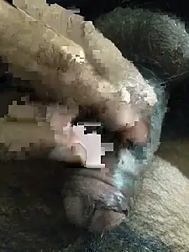 its  aaru online show from November 8, 2025, 3:26 pm