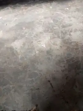 WillfulVideo online show from November 12, 2025, 10:41 am