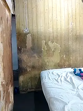 Alana phs online show from November 25, 2025, 2:06 pm