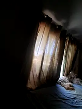 grichin online show from November 19, 2025, 10:10 pm