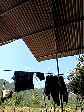 -Chua-90 online show from March 1, 2026, 3:17 am