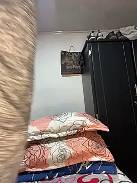 king disaster1 online show from November 13, 2025, 10:46 pm