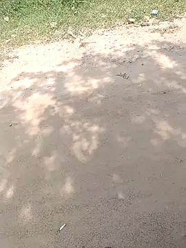 Snapshot of summa_renu chatting on November 15, 2025, 5:33 am summa renu online show from November 15, 2025, 5:33 am