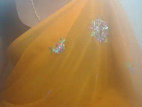 tamilsheelaaa online show from November 13, 2025, 4:22 pm