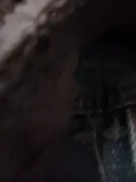 Lynk2x online show from November 19, 2025, 4:56 am