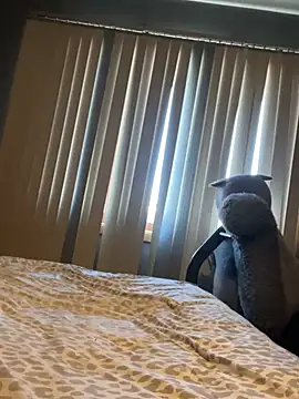 Snapshot of mouse- chatting on February 13, 2026, 9:26 pm mouse- online show from February 13, 2026, 9:26 pm