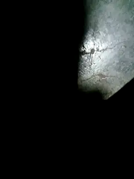 raju423204 online show from February 15, 2026, 1:06 am