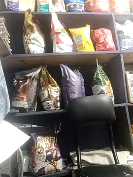 eva rushh online show from March 9, 2026, 10:57 pm