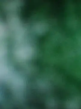 Rouse hot  online show from December 20, 2025, 3:20 am