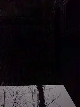 pitty mymi online show from February 23, 2026, 11:16 pm