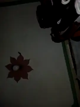 honeypot224 online show from March 15, 2026, 3:57 am