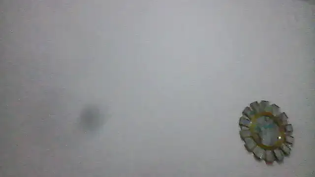 Snapshot of BWW-CINDY11 chatting on February 26, 2026, 9:04 pm BWW-CINDY11 online show from February 26, 2026, 9:04 pm