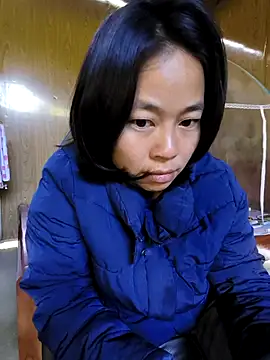 Cat-meow online show from November 29, 2025, 2:01 am