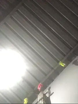 sexguruxxx online show from January 11, 2026, 11:11 pm