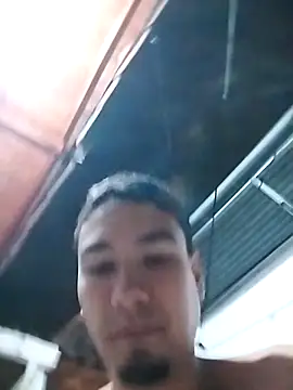 Daniipulgarin online show from November 19, 2025, 3:50 am