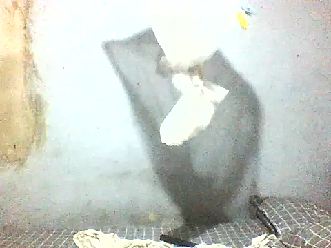 fuckdigg online show from January 11, 2026, 1:45 am